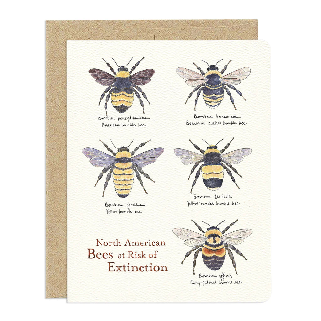 The image is a greeting card featuring a collection of watercolor illustrations of North American bees.
The main content of the card are six distinct bee illustrations are arranged in a two-column, three-row grid.
The bottom-left section of the third row is occupied by the title text "North American Bees at Risk of Extinction".