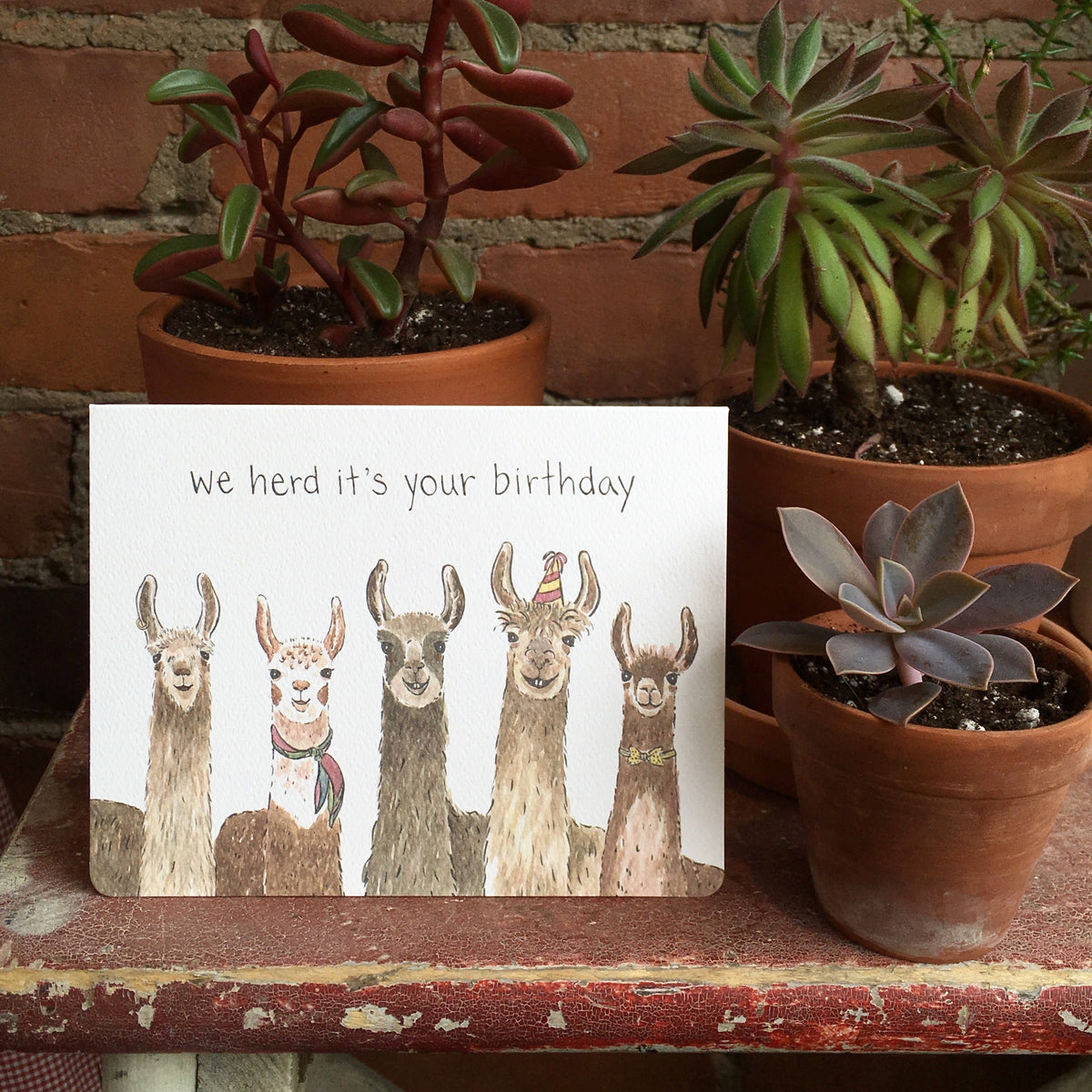 Llama Birthday Card- Greeting Card