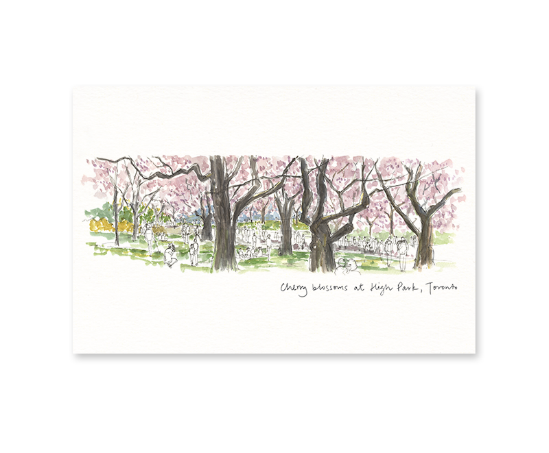 Toronto High Park - Gotamago Postcard