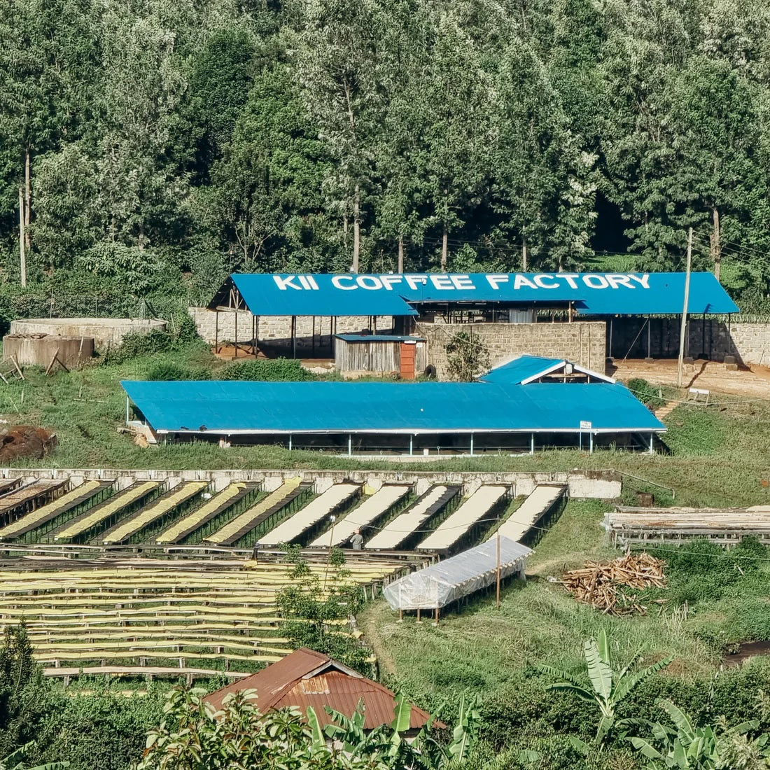 aerial photo of coffee drying beds at Kii coffee factory